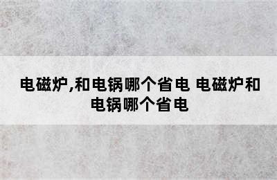 电磁炉,和电锅哪个省电 电磁炉和电锅哪个省电